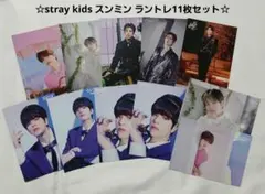 stray kids スンミン ラントレ 11枚セット