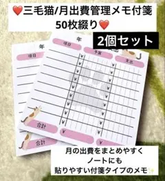 ❤️三毛猫/月出費管理メモ付箋50枚綴り2個セット❤️