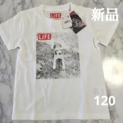 【Right-on】格安！新品　白Tシャツのサムネイル