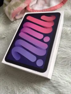 iPadmini 第6世代 箱のみ
