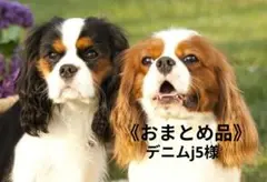 《おまとめ品》デニムj5様