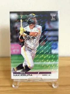 Item thumbnail for item 4164d7a7-9de6-487d-968d-7e1ff9ab3b91