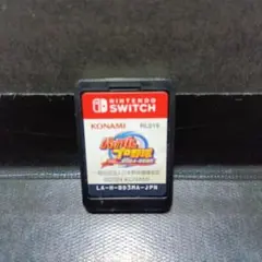 【ソフトのみ】パワフルプロ野球2024-2025 switch