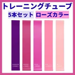 トレーニングチューブ ゴムバンド エクサイズ 強度別付 5本 筋トレ ダイエット