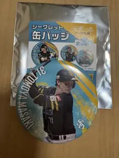 ホークス シークレット缶バッジ 正木智也選手