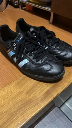 Item thumbnail for item 60dacdcb-98eb-48b0-b220-2663a27e0ff6