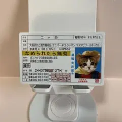 猫の身分証明書とポストカード　なめんなよ　ゴールド　(金) 2025年最新】なめ猫 免許証 ゴールドの人気アイテム - メルカリ