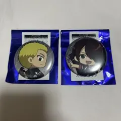 テニプリ 新テニスの王子様 橘桔平 flag缶バッジ、アクリルカード