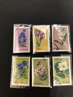 外国切手　1962年ポーランド 切手 花柄 6種完　糊付け　消印有