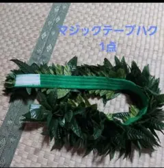 frangipani◇プロフ確認くださいさま