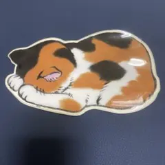 猫　ペンケース