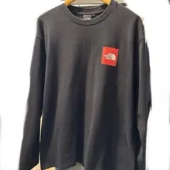 ノースフェイスロンT