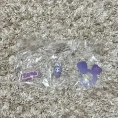TWICE　サナ　アクリルカラビナフロッキーマスコット