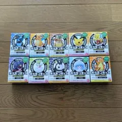 ポケモンキッズ メガリザードンX&メガリザードンY編 10個