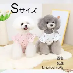 ペット服　サクランボ柄　Tシャツ　ピンク　S　犬服　猫服　安心匿名配送