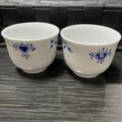 2026年最新】ブルーパルメッテ ブロッサムの人気アイテム - メルカリ