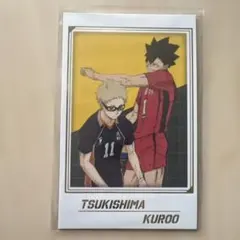 ハイキュー!!キャラポトレ2 音駒高校 烏野高校 黒尾鉄朗 月島蛍