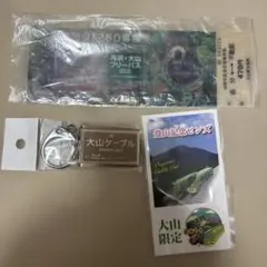 大山ケーブルカー 記念乗車券 ピンズ キーホルダー 3点セット 2026年最新】大山ケーブルカーの人気アイテム - メルカリ