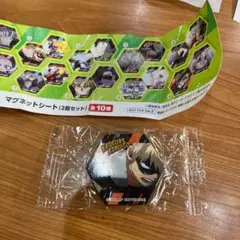 2点 ヒロアカ 僕のヒーローアカデミア 爆豪勝己 轟焦凍 マグネットシート
