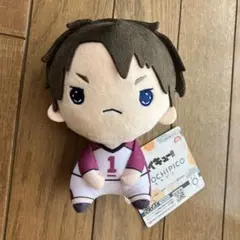ハイキュー‼︎ もちもちマスコットたっち 牛島若利 - メルカリ