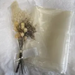 Item thumbnail for item c47f0b86-3a08-4cda-880f-5beb4a7f62e8