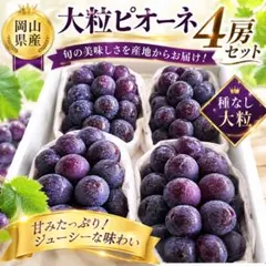 K様専用 岡山ピオーネ 2キロ×2箱 きれいな家庭用 - メルカリ