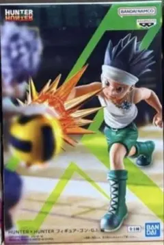 HUNTER×HUNTER フィギュア-ゴン-G.I.編
