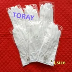 Item thumbnail for item 69243ef2-9aa8-4c54-9239-c9185c2e4190