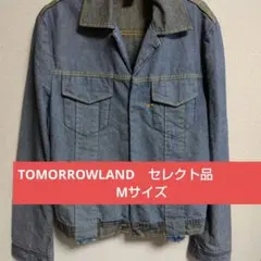 Item thumbnail for item 77611b2f-3234-4797-a36d-809ee8e7b1b5