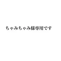 ちゃみちゃみ様専用です