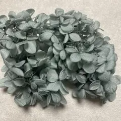 No.25 プリザーブドフラワー 花材 アジサイ