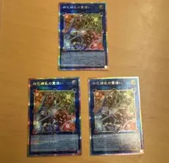 遊戯王 アウス 関連カード 3枚セット - メルカリ