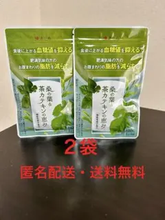 新品未開封品 和漢の森 桑の葉&茶カテキンの恵み 120粒入2袋セット