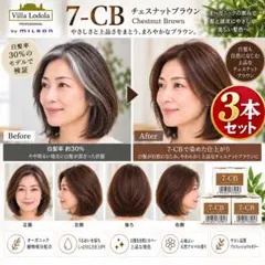 ✨ミルボン ✨ヴィラロドラ7-CB チェスナットブラウン 3本 セット白髪染め✨