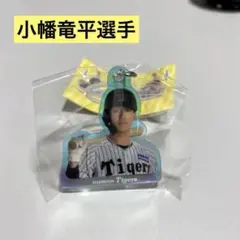 阪神タイガース めじるしオーロラチャーム【小幡竜平】