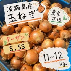 淡路島　玉ねぎ　11～12kg　ターザン　産地直送　農家のサムネイル