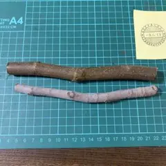 ハチ太様専用 いちじく穂木 - メルカリ