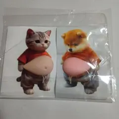 お腹　ぽっこり　シリコン　ぷにぷに　ステッカー　猫　ねこ　柴犬　オレンジシャツ