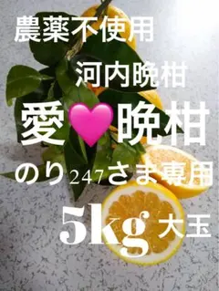 農薬不使用！「愛♡晩柑」木成りみかん大玉サイズ5キロ！愛媛みかん農園直送！のサムネイル