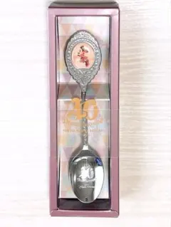 ディズニー40周年記念限定 ミッキー ミニー ステンレススプーン