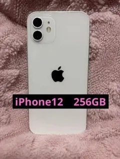 Apple iPhone 12 本体 256GB