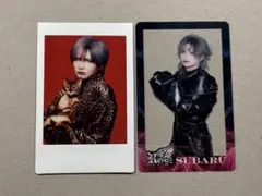 2026年最新】royz チェキの人気アイテム - メルカリ