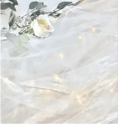 Item thumbnail for item 44ac1ec9-441b-479a-8cfd-4ceff80d0bd0