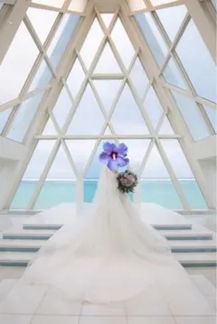 ウェディングベール ロングベール 結婚式　EFV-PEARL (70/230)