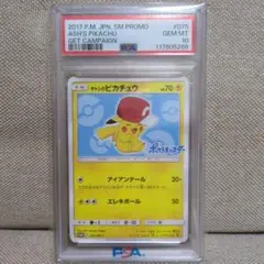 世界206枚】PSA10ピカチュウ ローソンサマーキャンペーン376/SM-P