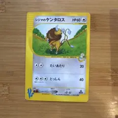 シジマのケンタロス ● ポケモンカード★VS 036/141