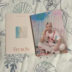 SEVENTEEN WONWOO ウォヌ Face The Sun CARAT盤