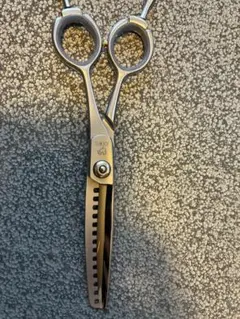 2026年最新】ジョーウェルシザーの人気アイテム - メルカリ