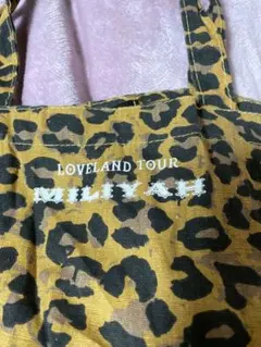 Item thumbnail for item cfbbcf07-243b-4d10-be46-dec9a7f69396