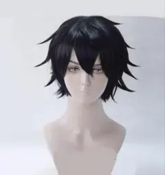 にじさんじ 四季凪アキラ コスプレ ウィッグ - メルカリ